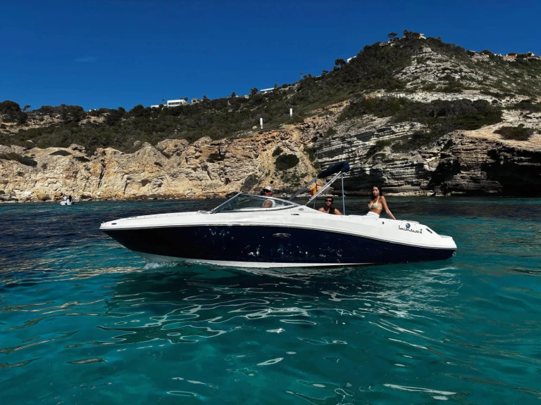 Hire Motorboat Sea Ray with a boat licence