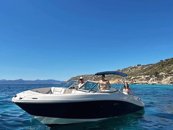 Motorboat to hire Port d'Andratx at the best price