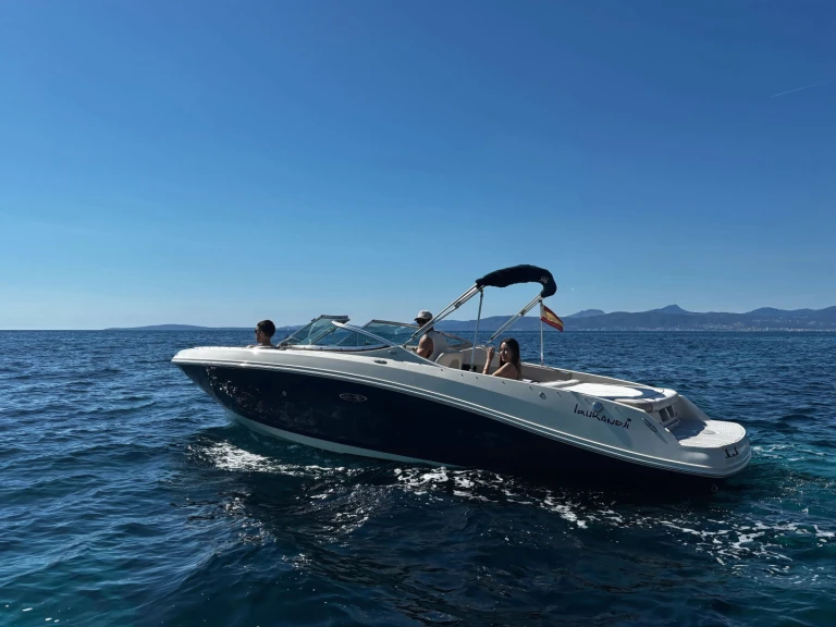 Yacht charter Port d'Andratx - Sea Ray Sea Ray 230 on SamBoat