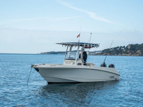 Hire Motorboat Boston Whaler with a boat licence