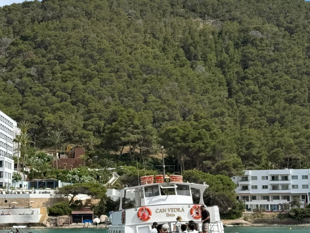 Artesanal Golondrina charter bareboat or skippered in  Ibiza Town
