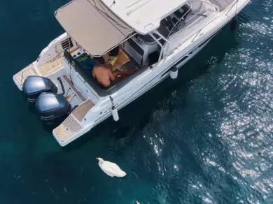 Motorboat to hire Mandelieu-la-Napoule at the best price