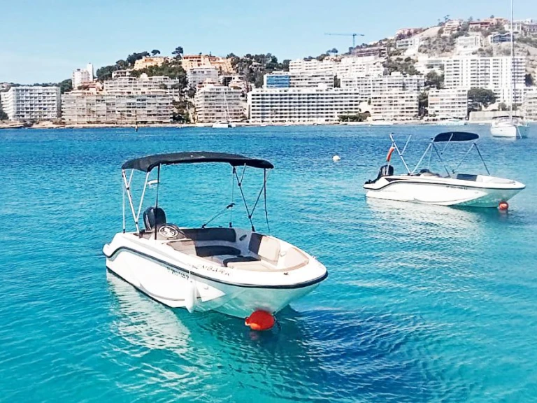 Hire Motorboat with or without skipper Bayliner Palma de Mallorca