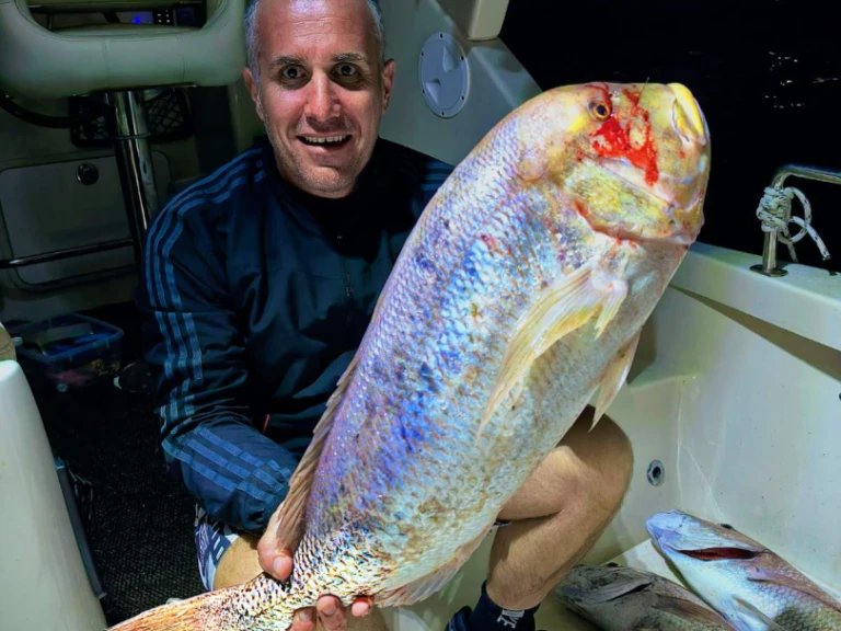 Hire a Quicksilver Arvor 215 Bar