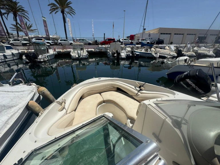 Hire Motorboat Sea Ray with a boat licence