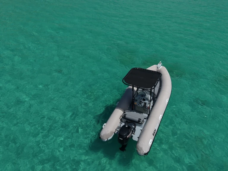 RIB to hire Saint Martin at the best price