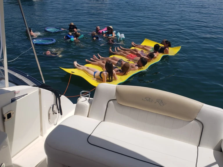 Motorboat hire in Miami - Sea Ray Sea Ray 300 Sundancer
