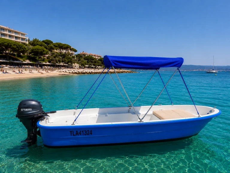 Yacht charter Six-Fours-les-Plages - Yac fun  Yac fun 450 on SamBoat