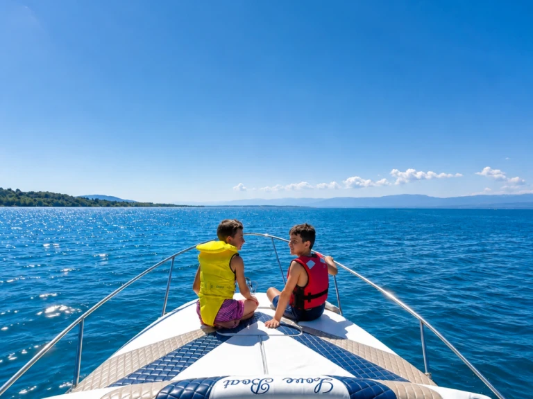 Hire a Bayliner Bayliner 255 Thonon-les-Bains