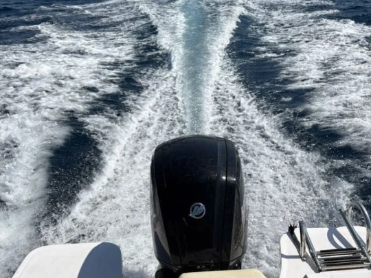 Motorboat to hire Port de Palamós at the best price