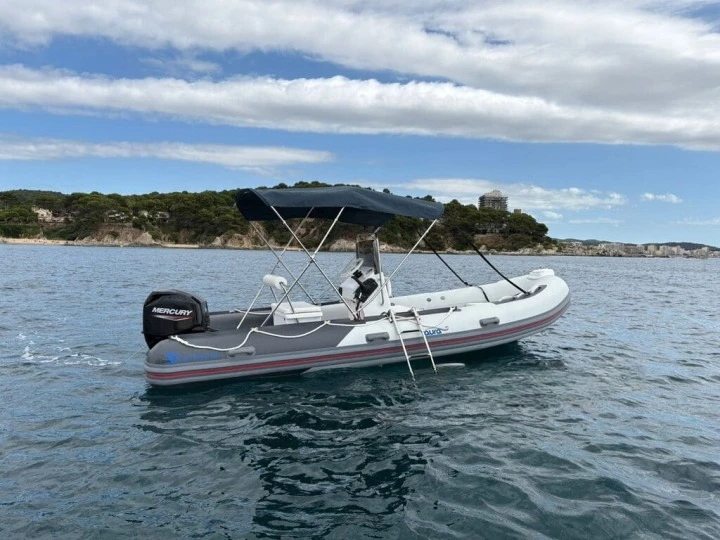 Charter a Silver 495 in Palamós on Samboat