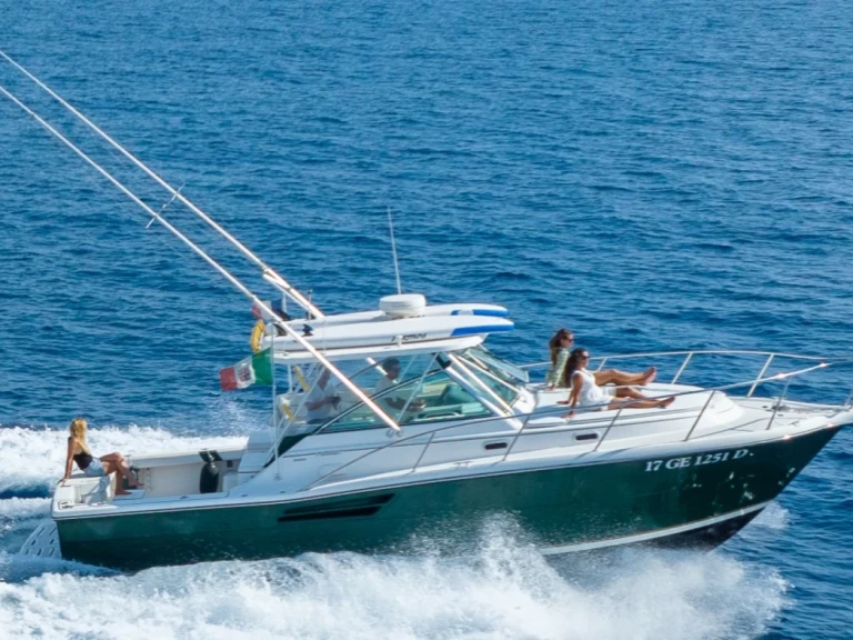Hire Motorboat with or without skipper Pursuit Marseille