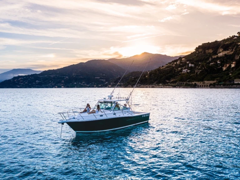 Yacht charter Marseille - Pursuit 3400 on SamBoat