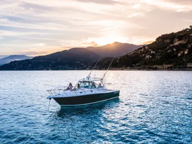 Yacht charter Marseille - Pursuit 3400 on SamBoat