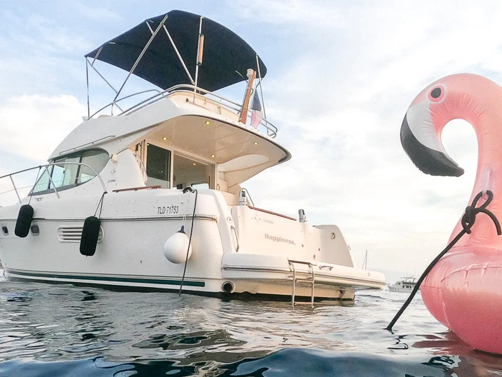 Hire Motorboat with or without skipper Jeanneau Nice