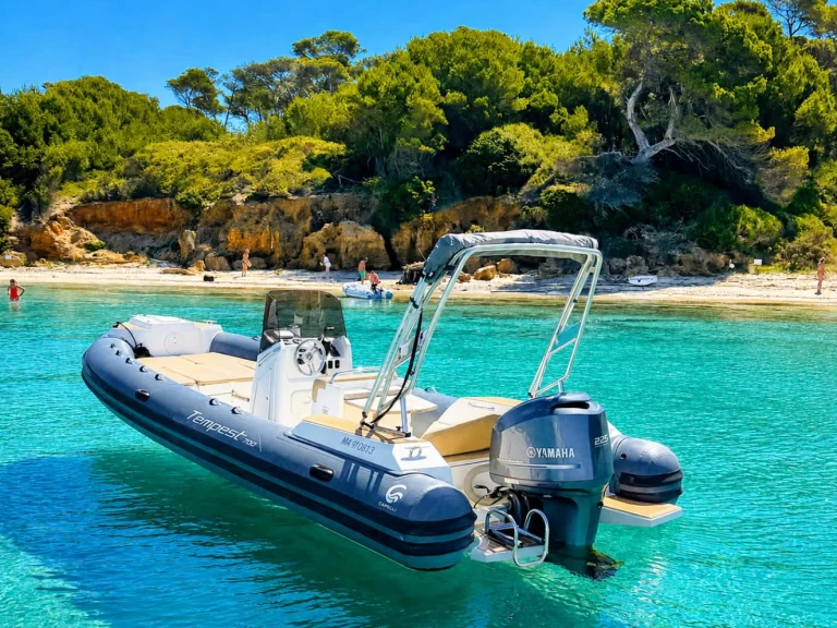 Hire RIB with or without skipper Tiger Hyères