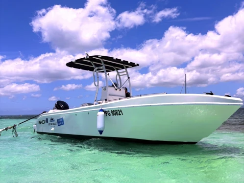 Charter a Forboat 23' in Pointe-à-Pitre on Samboat