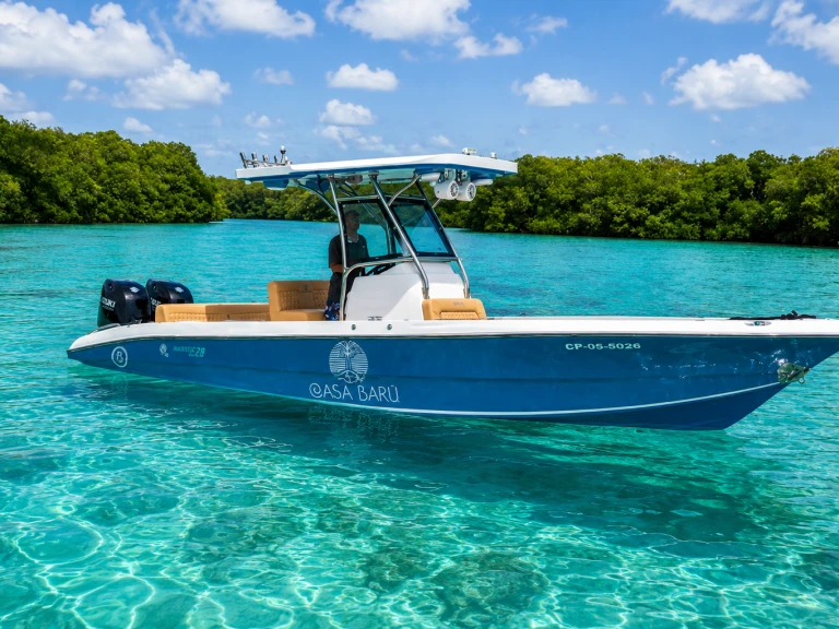 Catamaran hire in Bahía de Cartagena de Indias - Custom Made custom