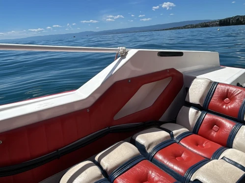 Ocqueteau Boxer 44 charter bareboat or skippered in  Lutry