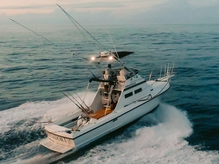 Custom Made custom charter bareboat or skippered in  Cabo San Lucas