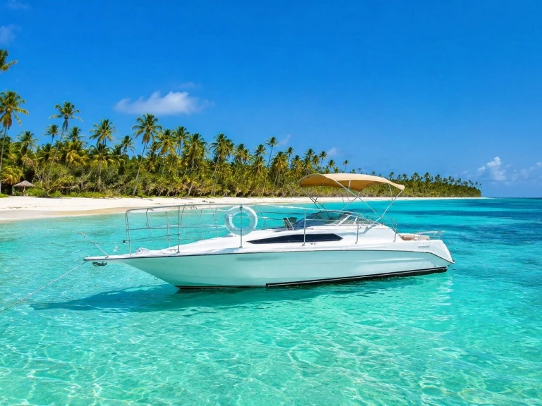 Hire a Custom Made custom Punta Cana