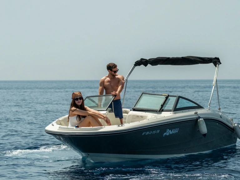Charter a Sea Ray SPX 190 in La Herradura on Samboat