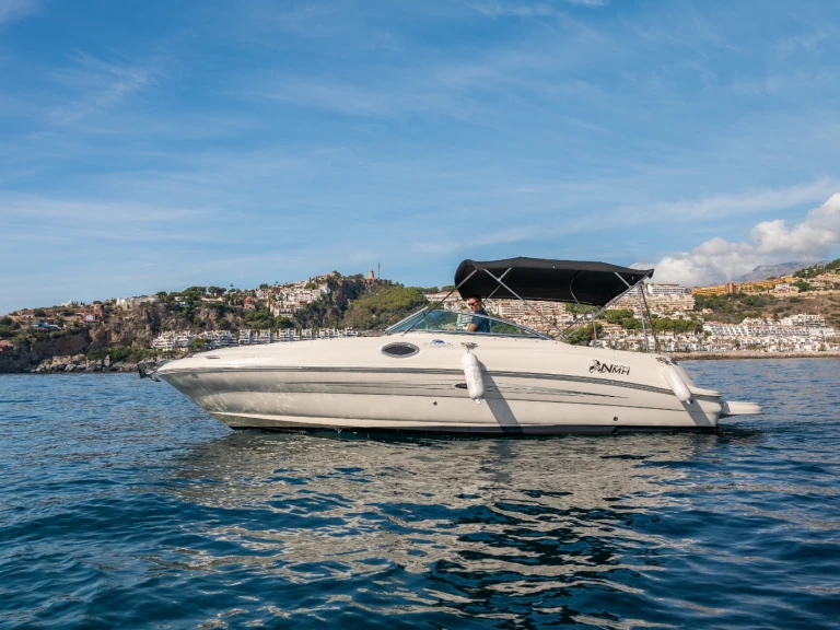 Hire Motorboat with or without skipper Sea Ray La Herradura