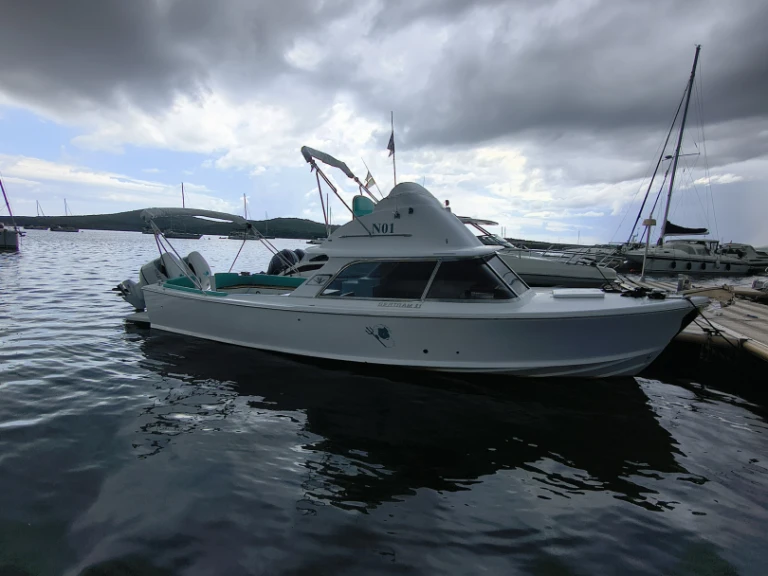 Motorboat hire in Porto Pozzo - Bertram 31