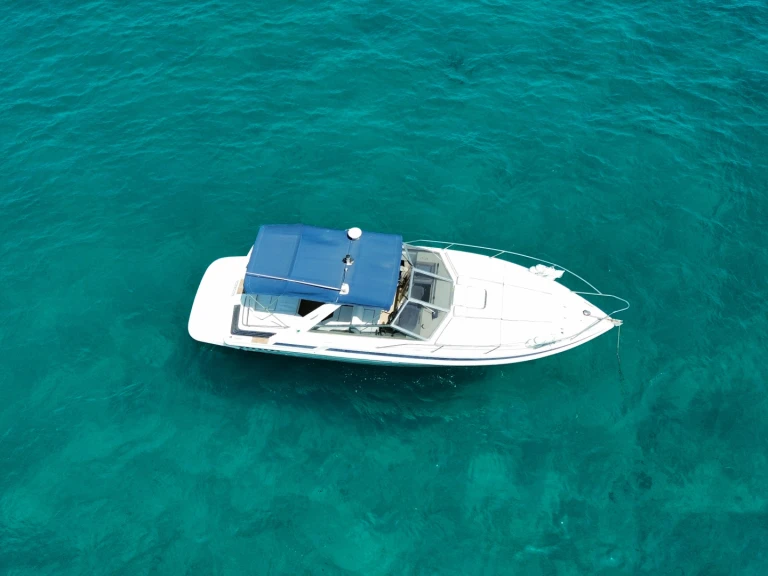 Yacht charter Cannes - Sunseeker Portofino on SamBoat