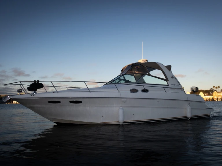 Hire Motorboat Sea Ray with a boat licence