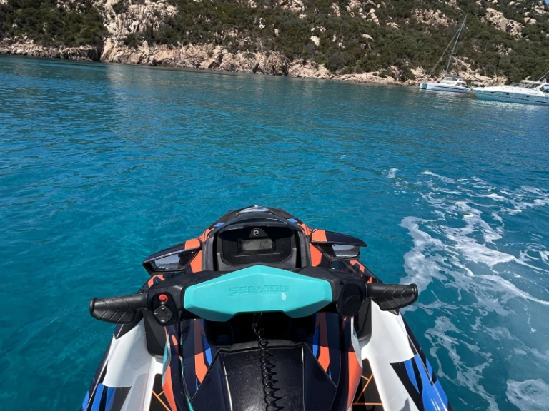Hire Jet ski with or without skipper Sea-Doo Pianottoli-Caldarello