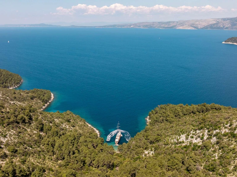 Hire a Custom Dalmatino Croatia