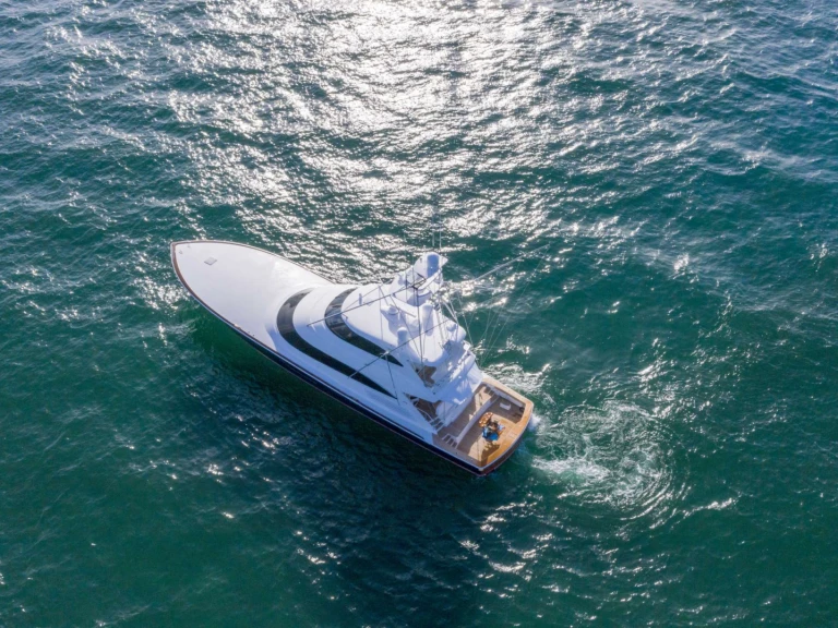 Hire a Viking, U.S.A SPECULATOR 92 Newport