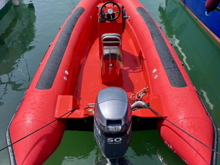 Charter a Cobra 550 in Sant Andreu de Llavaneres on Samboat
