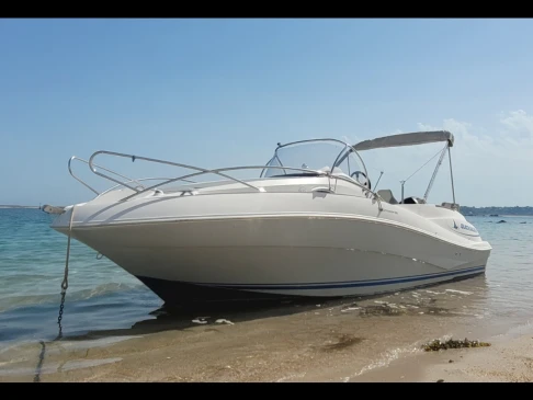 Quicksilver Quicksilver 555 WA Commander charter bareboat or skippered in  Trébeurden