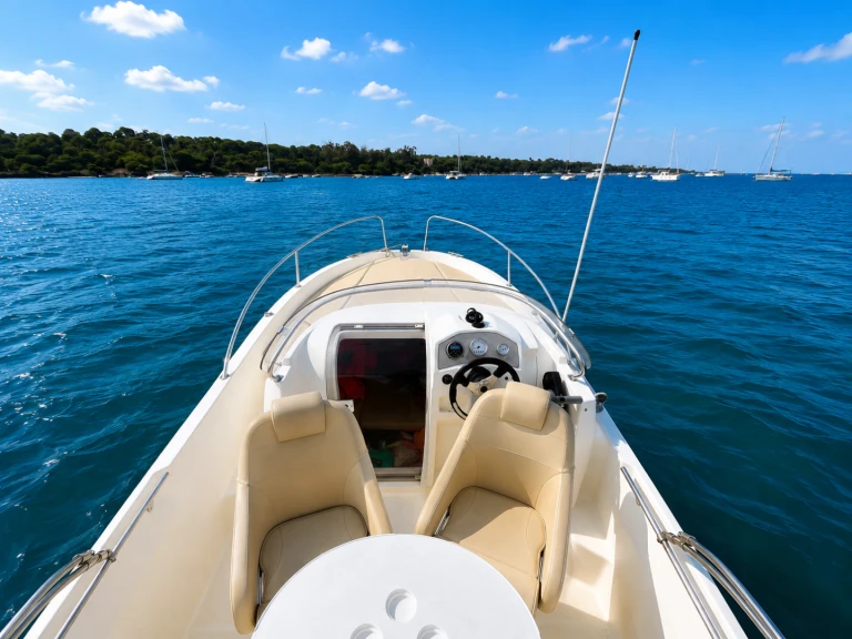 Jeanneau Cap Camarat 555 WA charter bareboat or skippered in  Mandelieu-la-Napoule