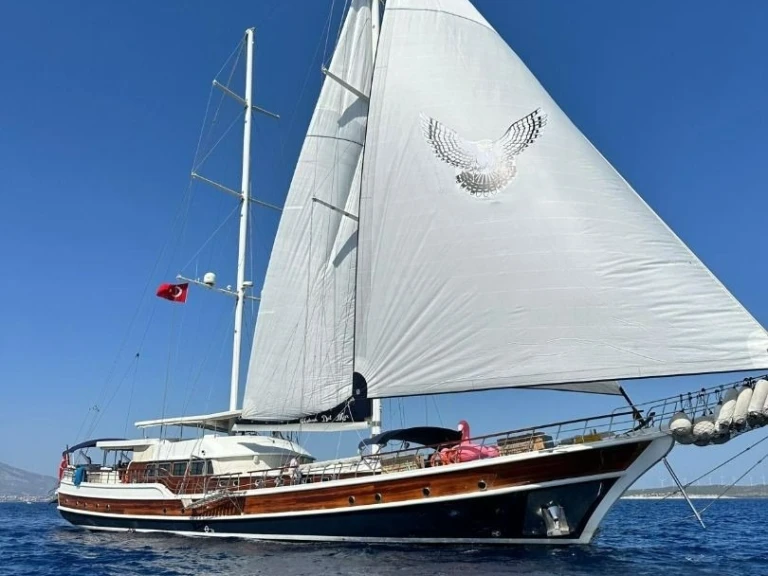 Hire Sailboat Custom Made with a boat licence