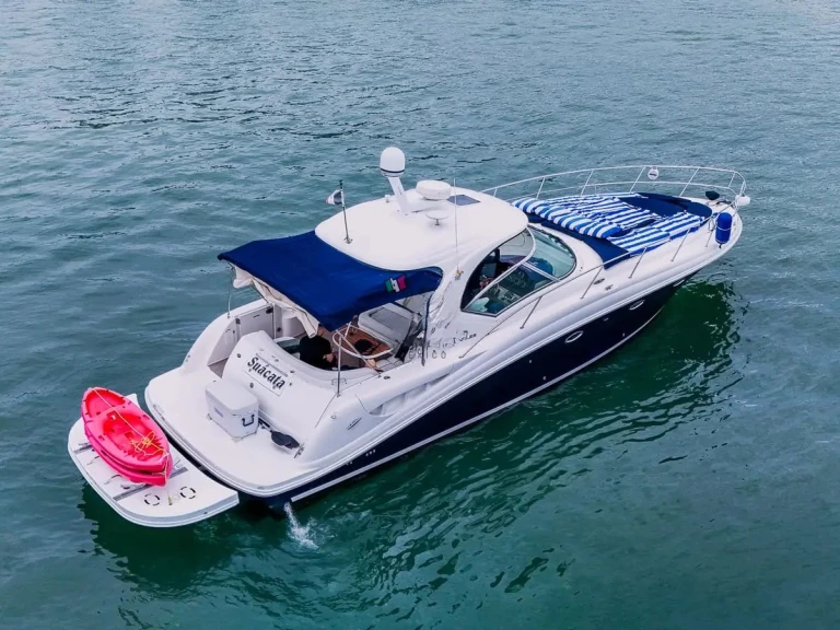 Motorboat to hire Puerto Vallarta at the best price