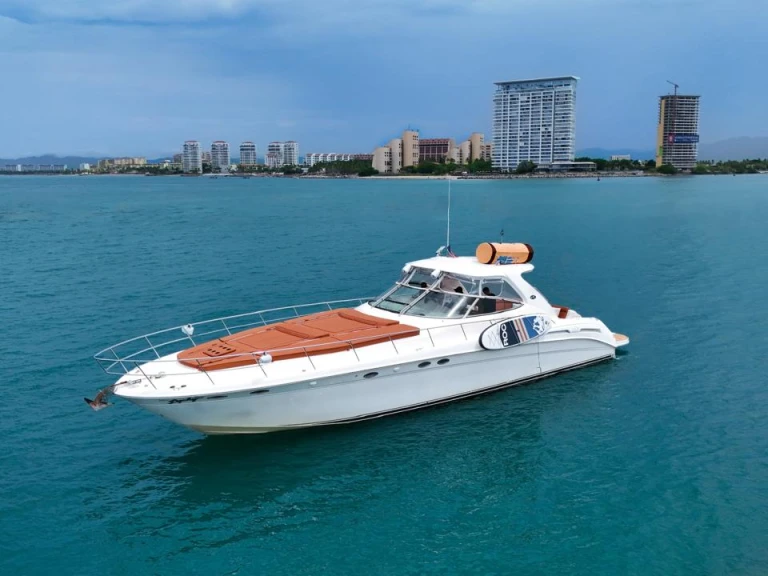 Hire Motorboat with or without skipper Custom Made Puerto Vallarta
