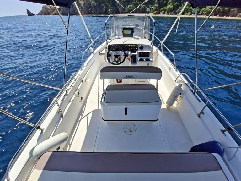 Charter a Boston Whaler Boston Whaler 220 Dauntless in Port de la Rague on Samboat