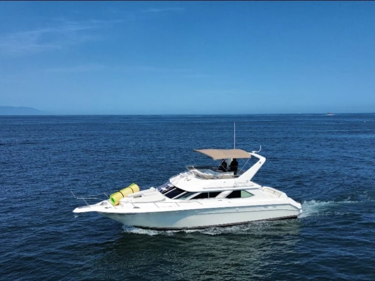 Charter a Custom Made custom in Puerto Vallarta on Samboat