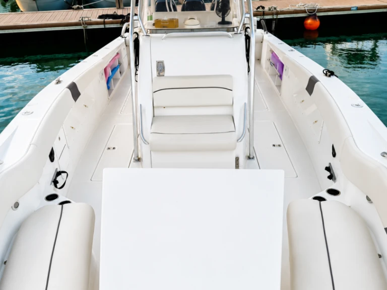 Charter a USA MOTOR in Gammarth on Samboat