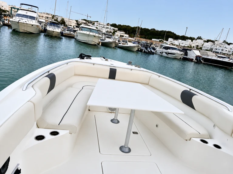 Motorboat to hire Gammarth at the best price