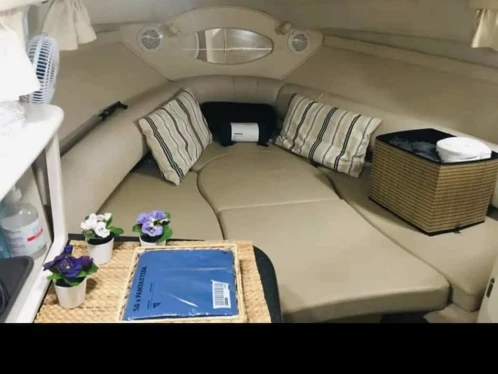 Yacht hire Marbella cheap 242 cruiser
