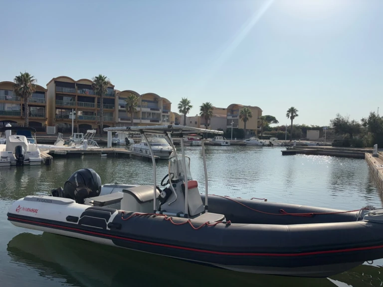 Yacht charter Gruissan - Narwhal HD 670 on SamBoat