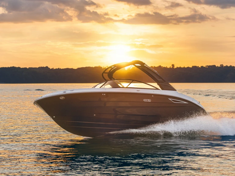 Hire Motorboat Sea Ray with a boat licence