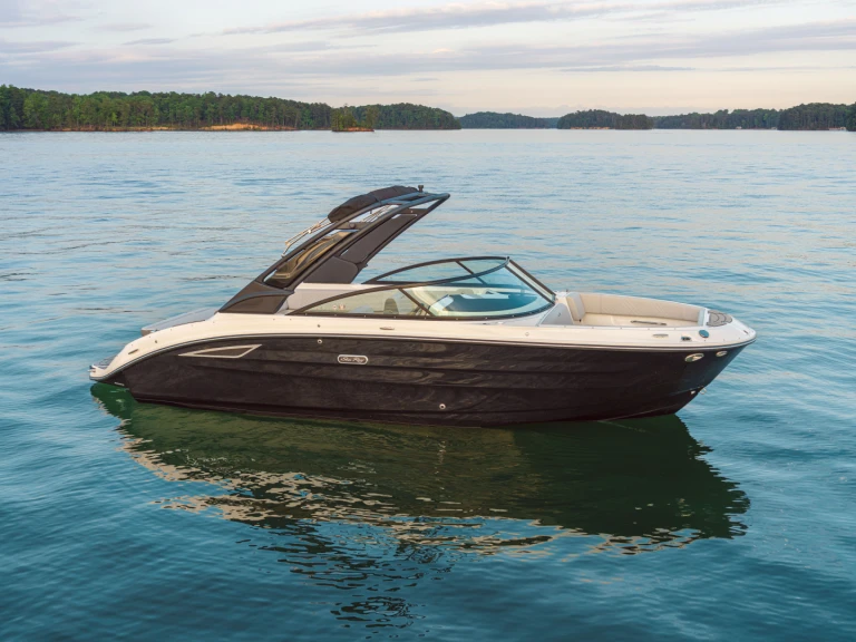 Sea Ray  250 sdx charter bareboat or skippered in  Port d'Arcachon