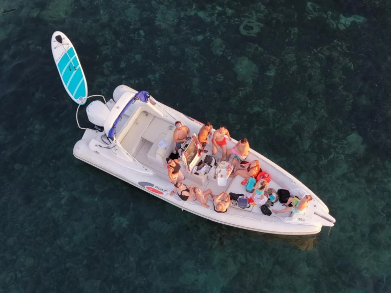 Selva Selva D800 charter bareboat or skippered in  Mandelieu-la-Napoule