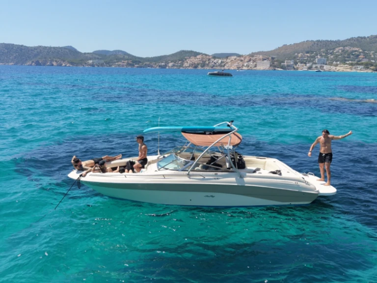 Hire a Sea Ray Sea Ray 260 Santa Ponsa