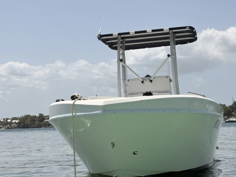 Yacht charter Le Gosier - Forboat 23' on SamBoat